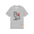 OVO Mitchell And Ness '95 Raptors OG Owl T-Shirt – Heather Grey
